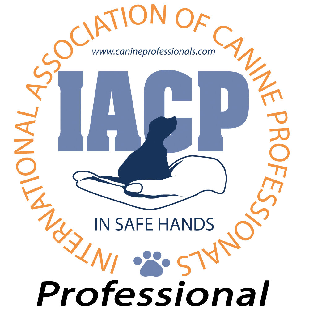 IACP Professional Member